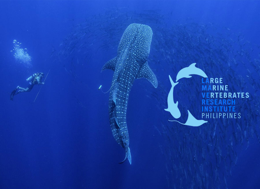 An eSports team is racing awareness for the Large Marine Vertebrates Research Institute Philippines